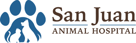 Animal Hospital in Jacksonville FL | San Juan Animal Hospital